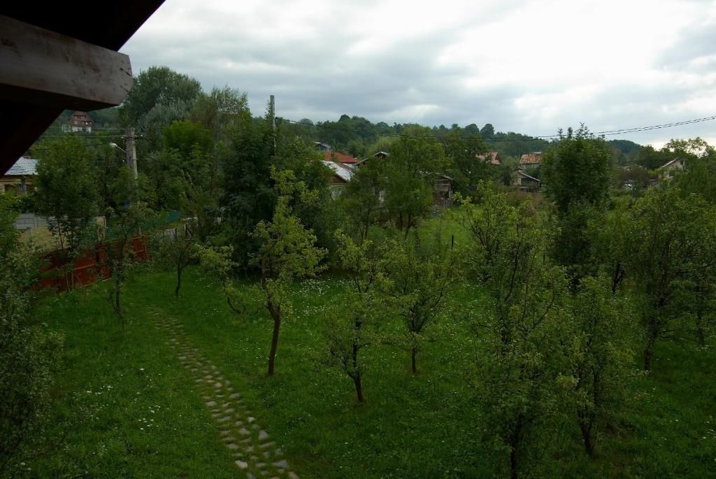 Дома для отпуска Casuta cu prieteni Cornu de Jos